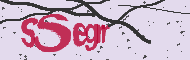 Ungültiger Sicherheitscode