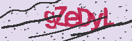 Ungültiger Sicherheitscode